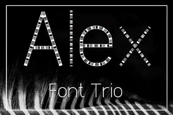 Alex: A Display Font That Transforms Digital Campaigns